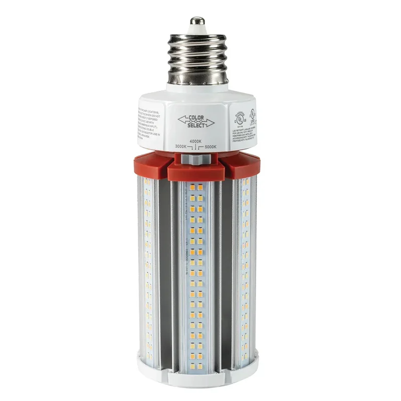 beeslighting12452433