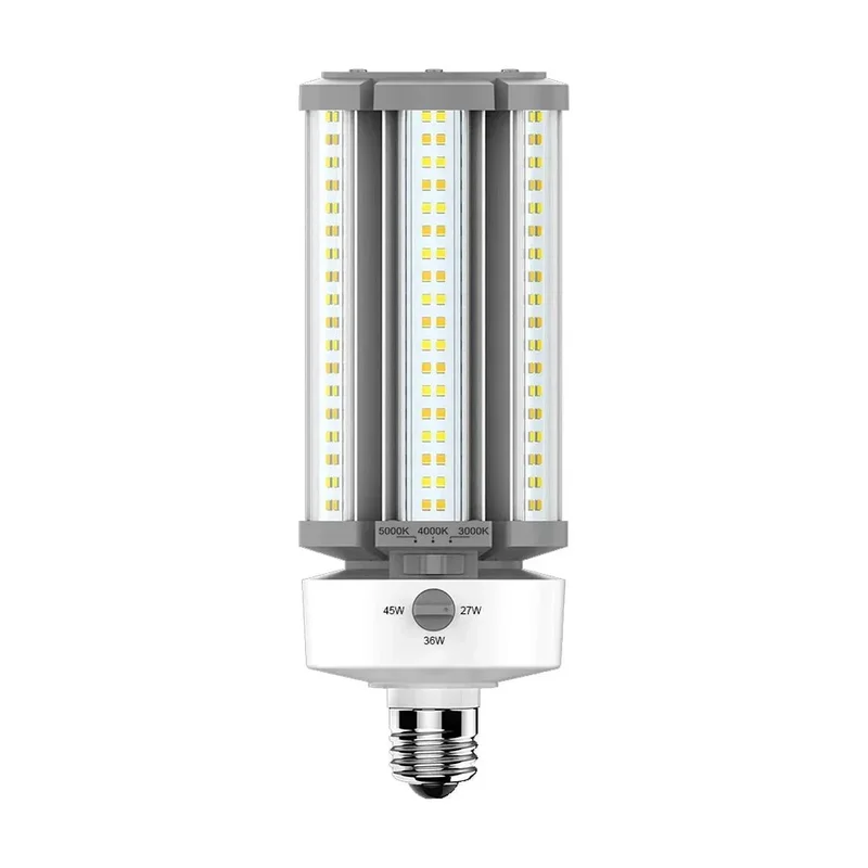 beeslighting12452458
