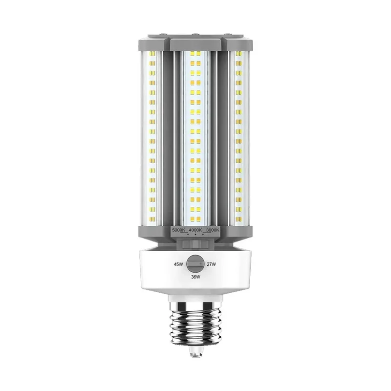beeslighting12452466