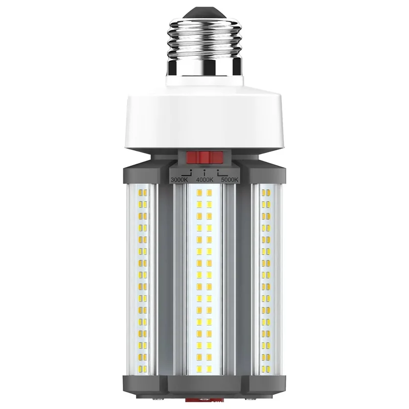 beeslighting12453222