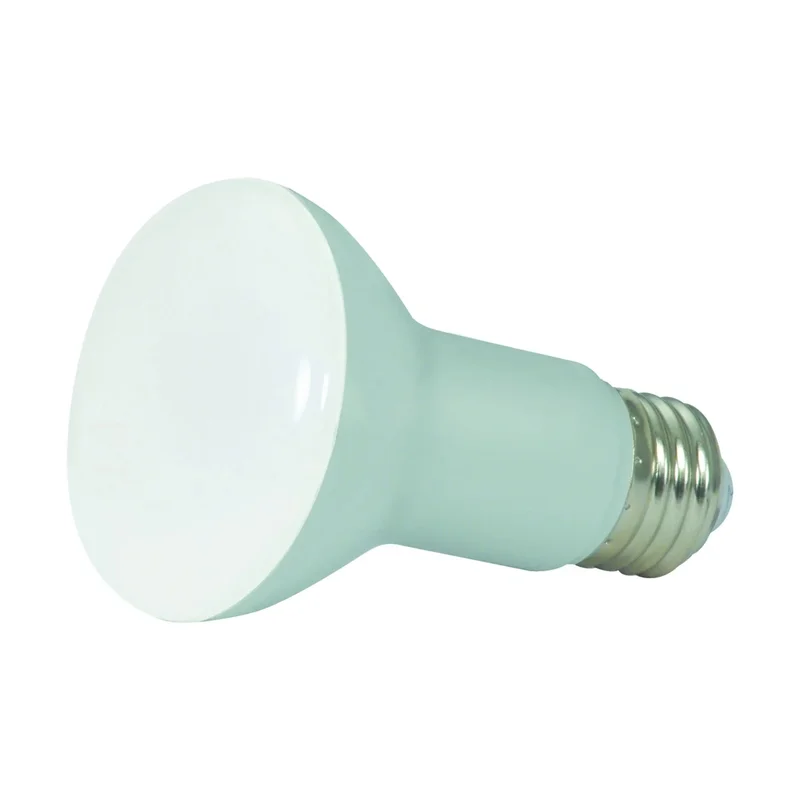 beeslighting12453442