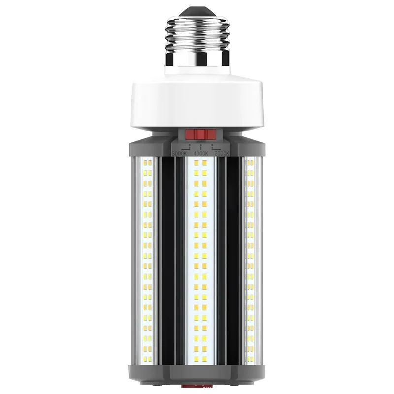 beeslighting12453461