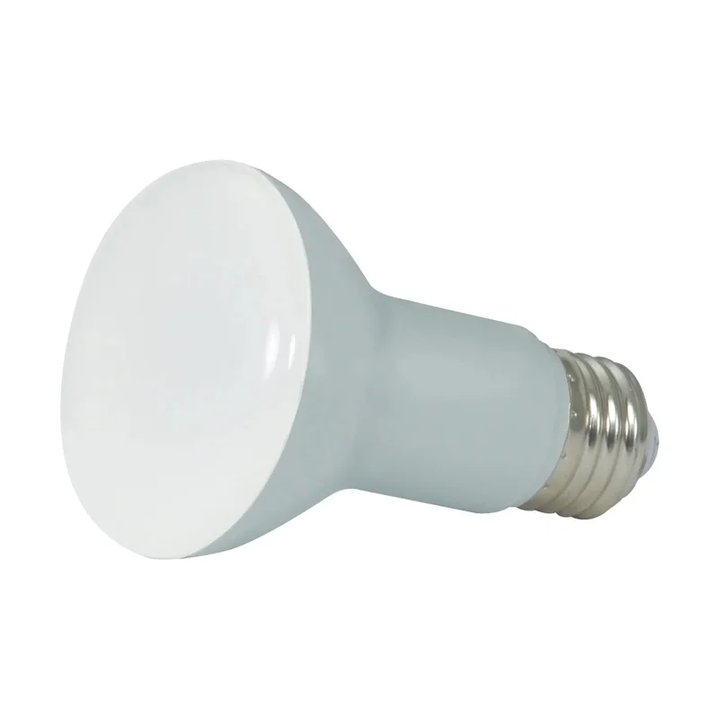 beeslighting12453847
