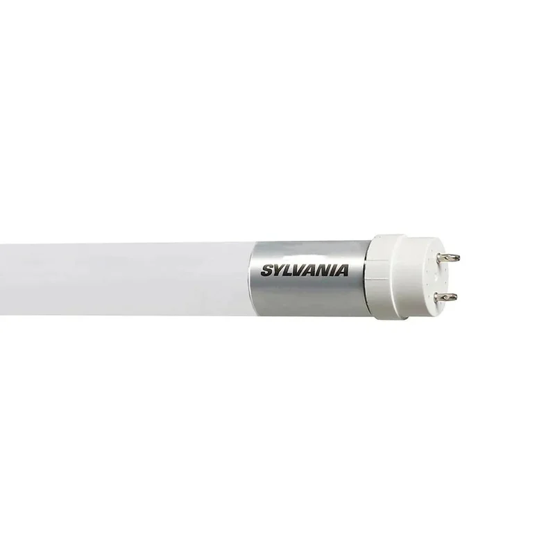 beeslighting12453982