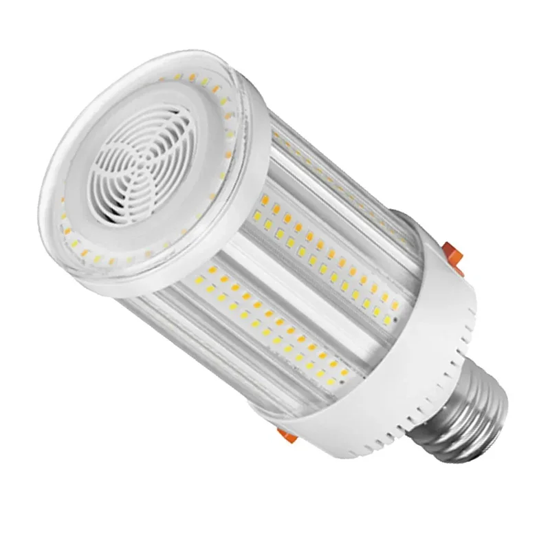 beeslighting12454586