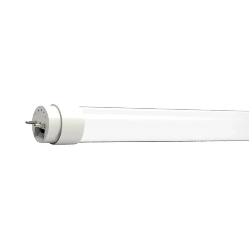 beeslighting12454786