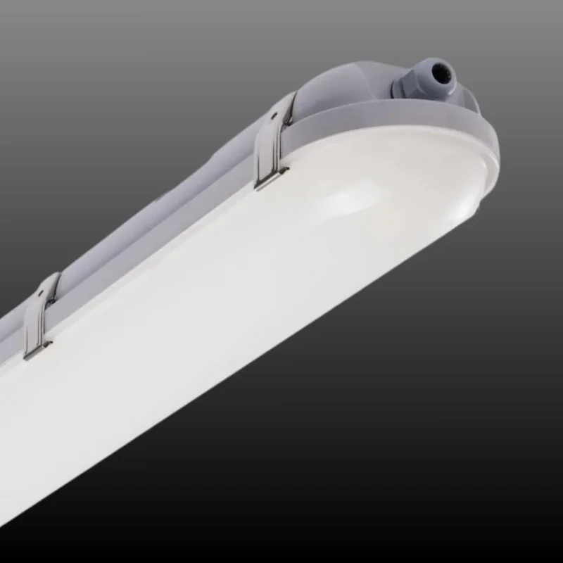 beeslighting12455362