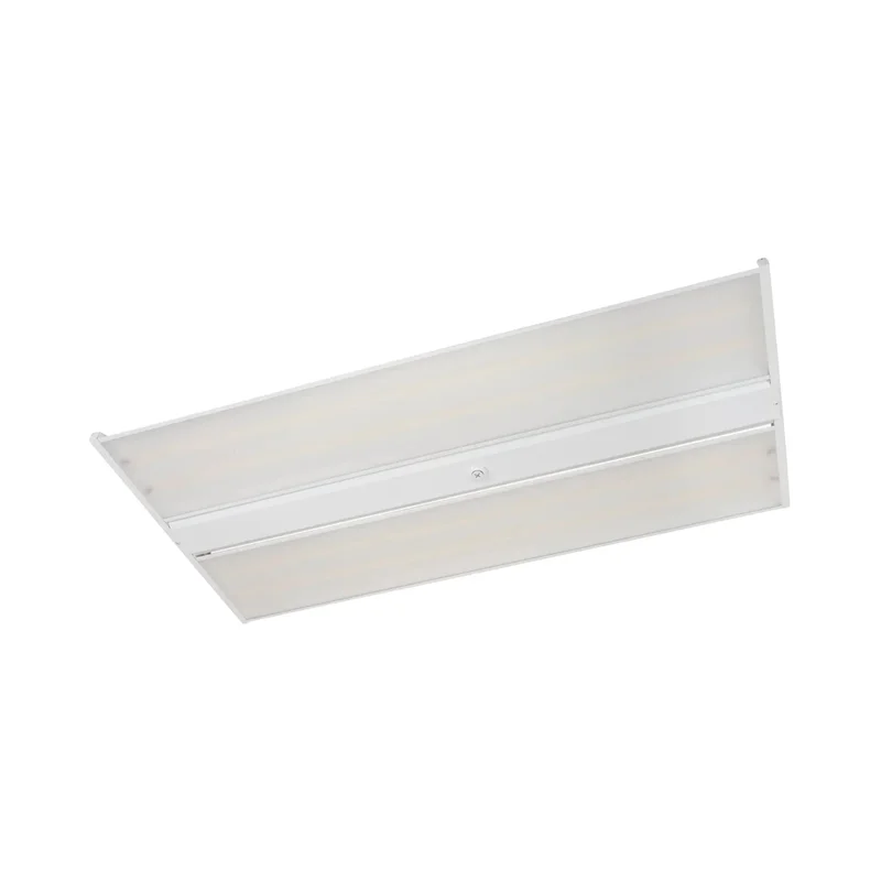 beeslighting12455688