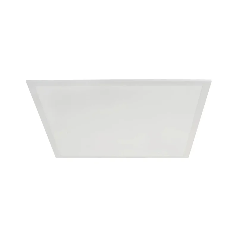 beeslighting12455833