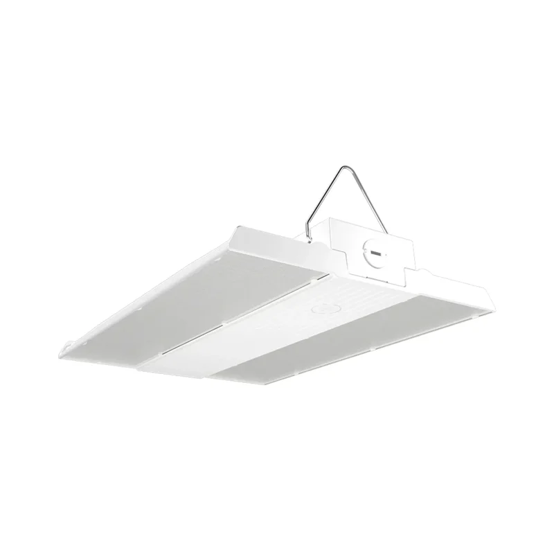 beeslighting12455935