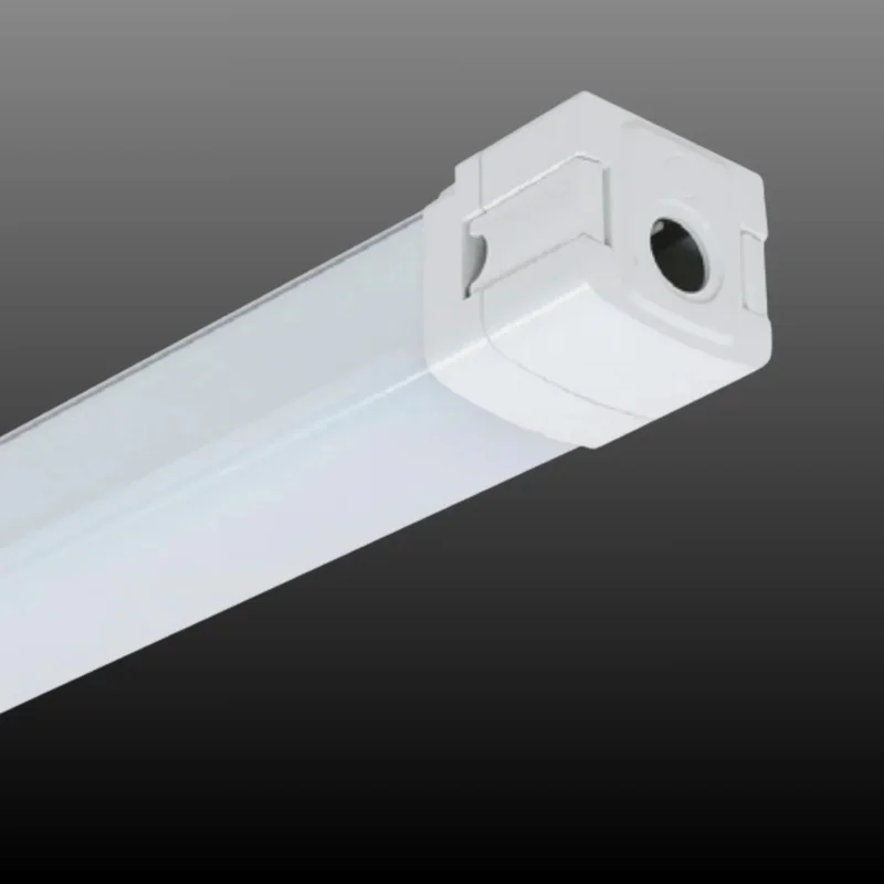 beeslighting12456087