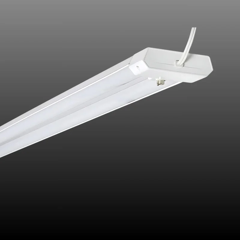 beeslighting12456279