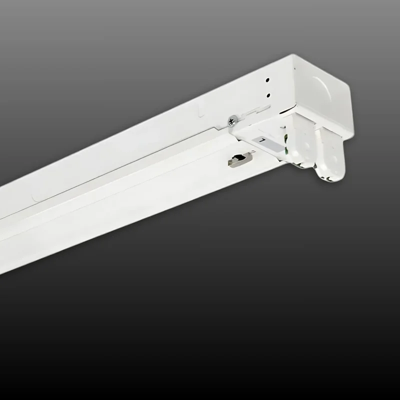 beeslighting12456303