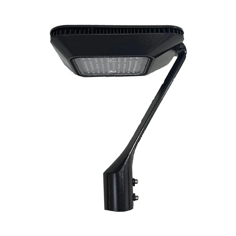beeslighting12456490