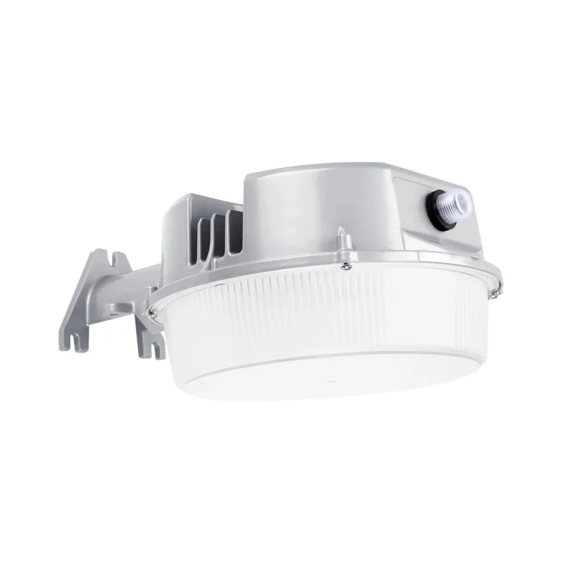 beeslighting12456560