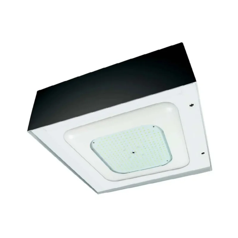 beeslighting12456764