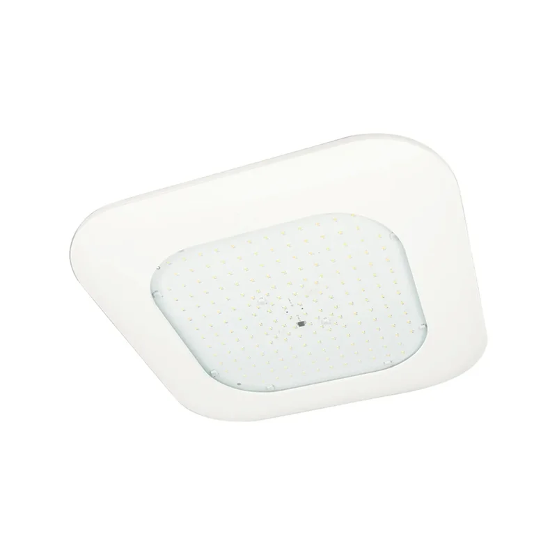beeslighting12456787