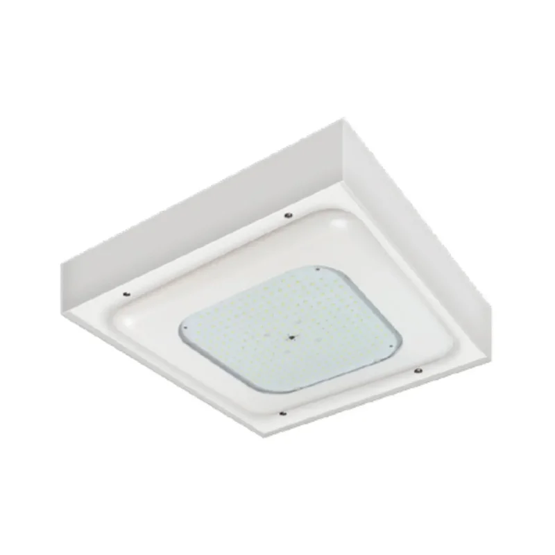 beeslighting12456827