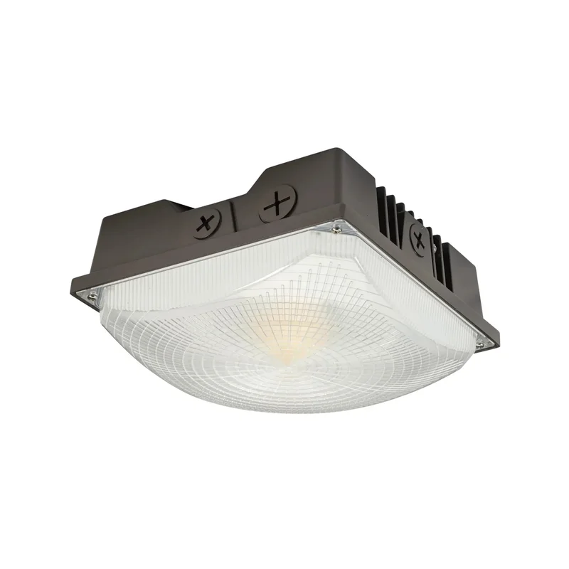 beeslighting12456922