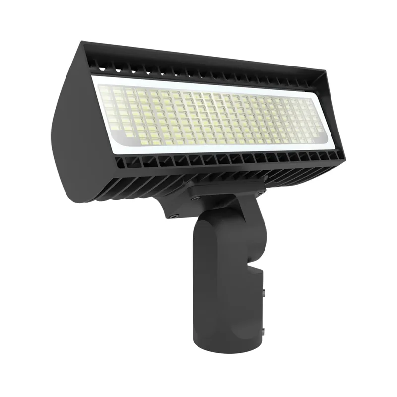 beeslighting12457406