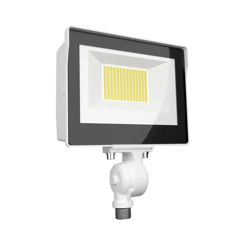 beeslighting12458022