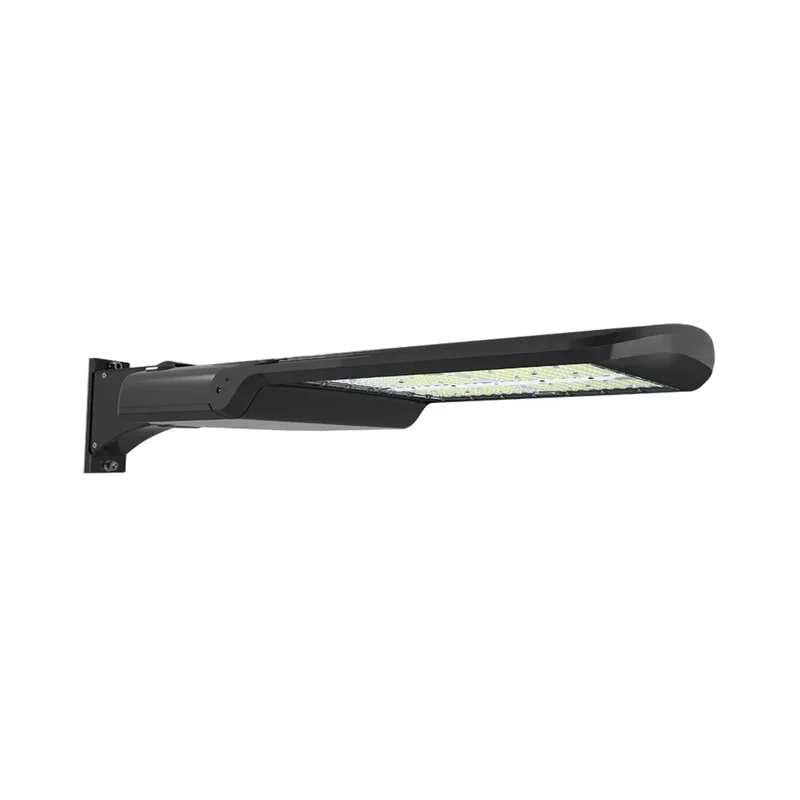 beeslighting12459278