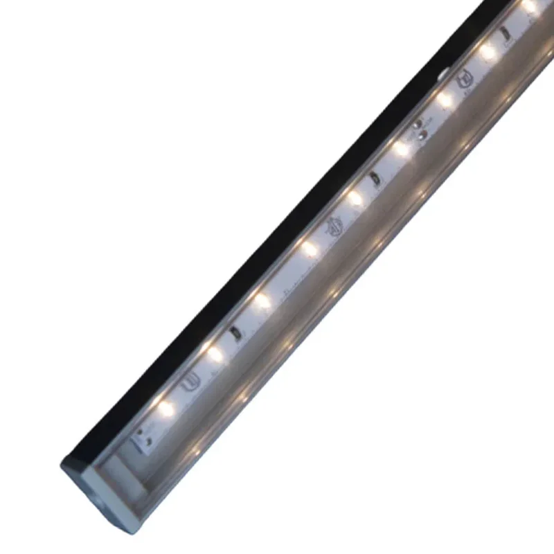 beeslighting12460252