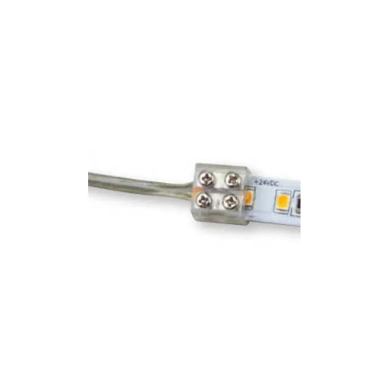 beeslighting12461482