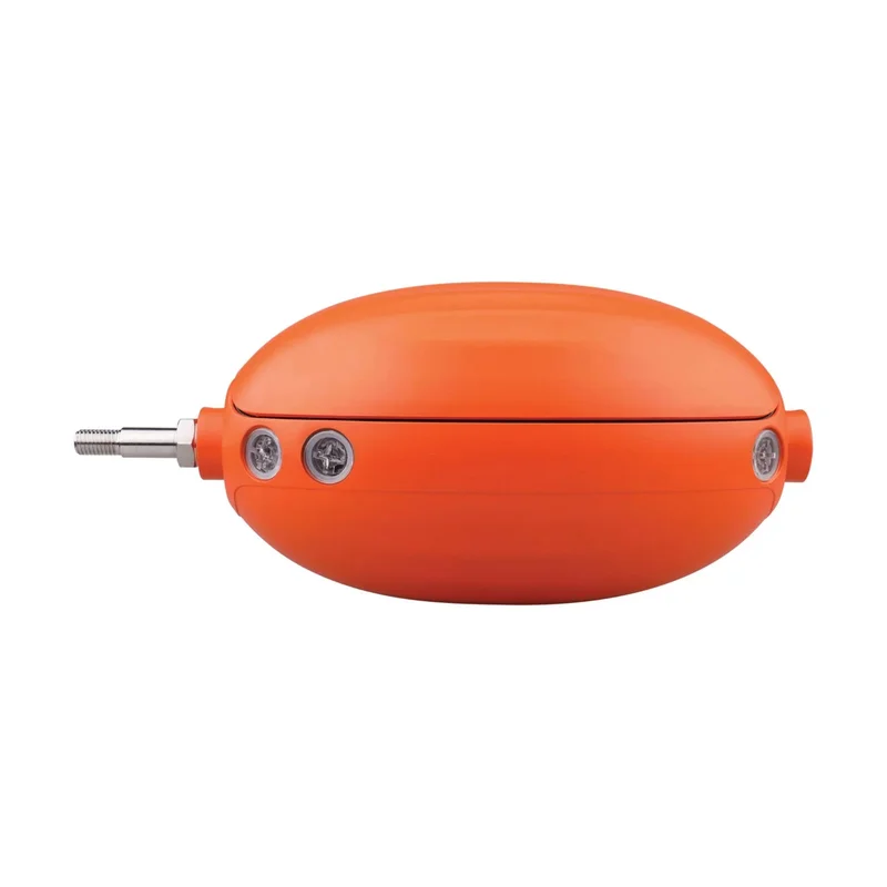 beeslighting12462331