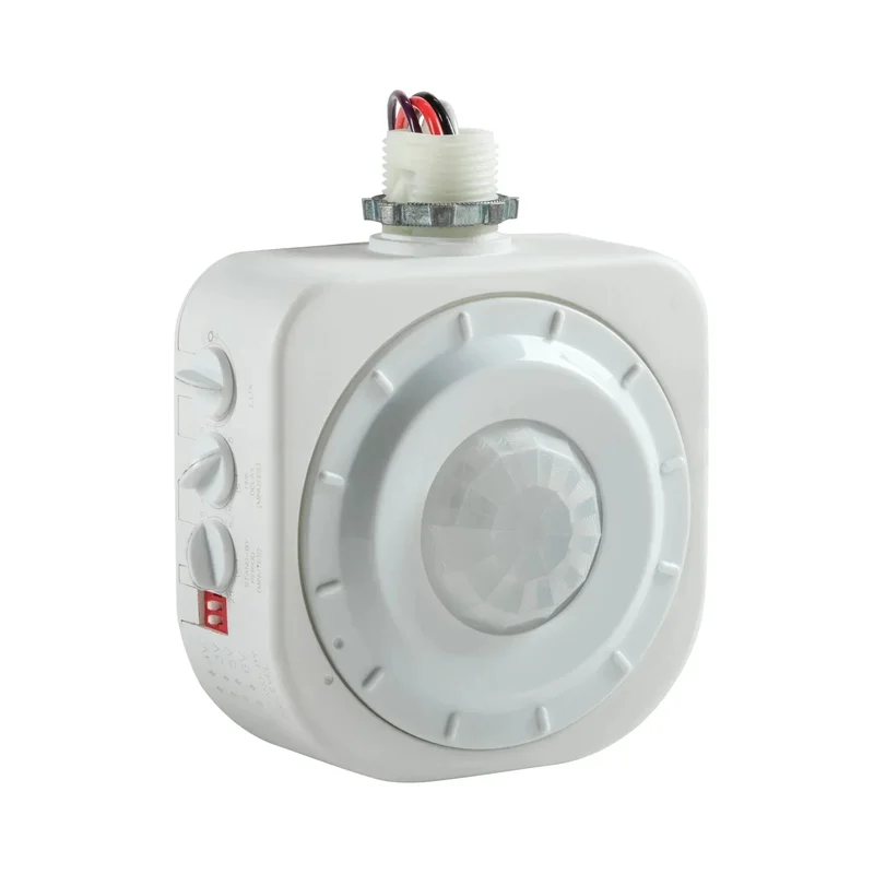 beeslighting12463599