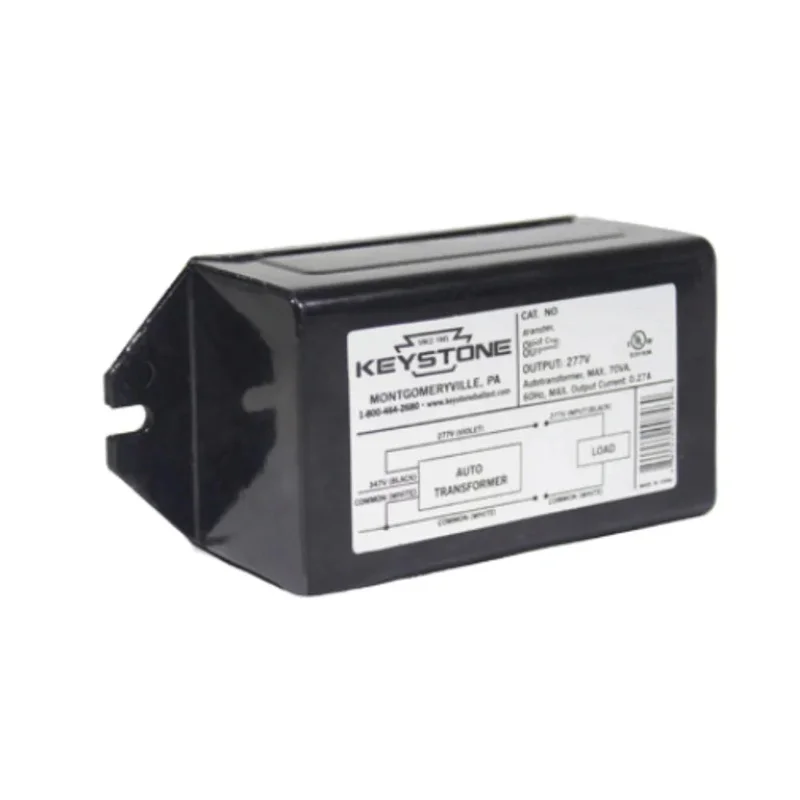 beeslighting12464219