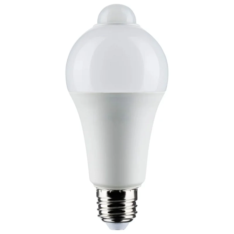 beeslighting12465378
