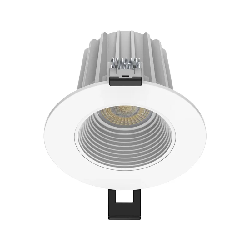 beeslighting12465548