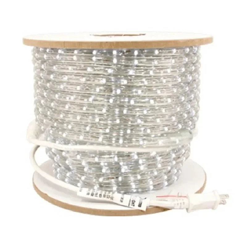 beeslighting12465819