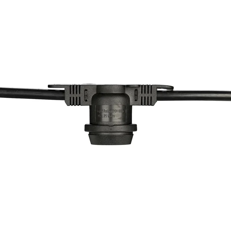 beeslighting12465874