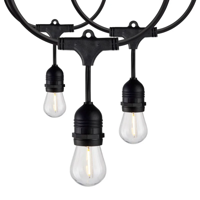 beeslighting12465928