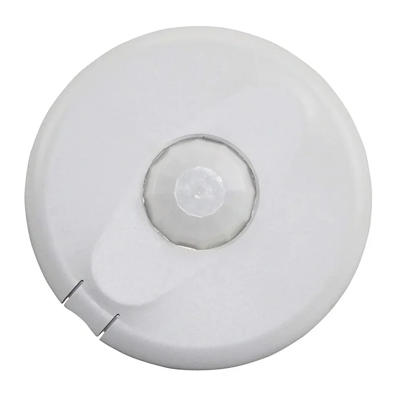 beeslighting12467994