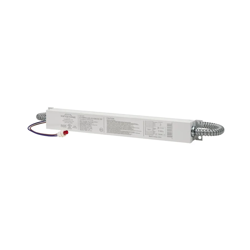 beeslighting12468683
