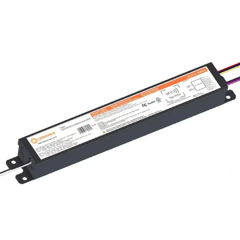 beeslighting12469617