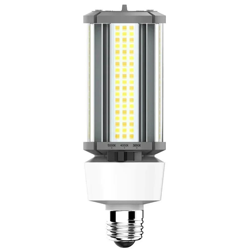 beeslighting12528227
