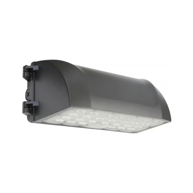 beeslighting12528650