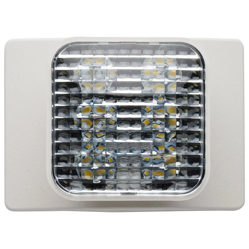 beeslighting12536638