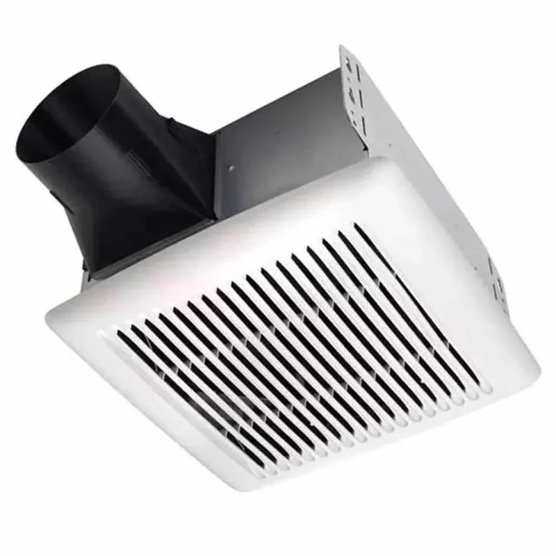 beeslighting12545410