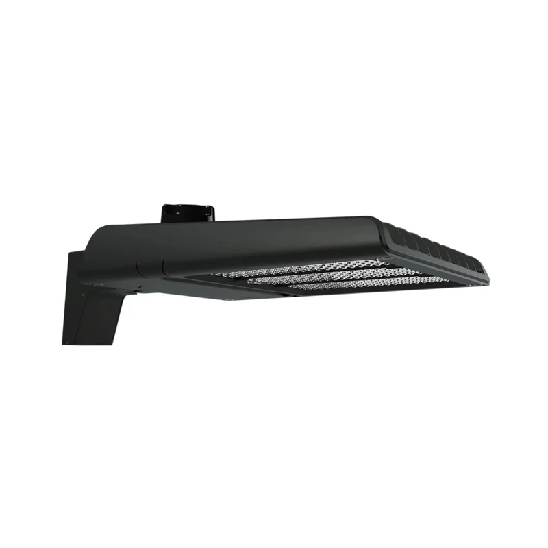 beeslighting12612371