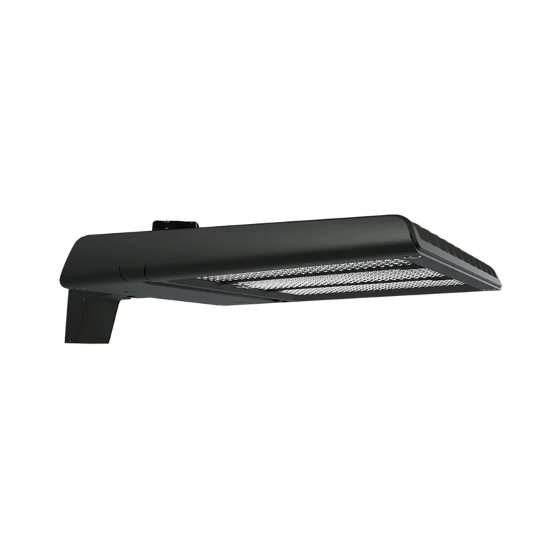 beeslighting12612381