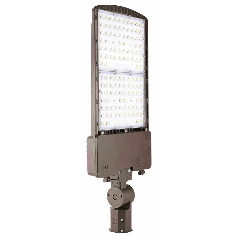 beeslighting12615803