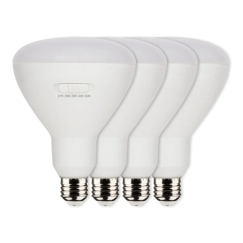 beeslighting12616996