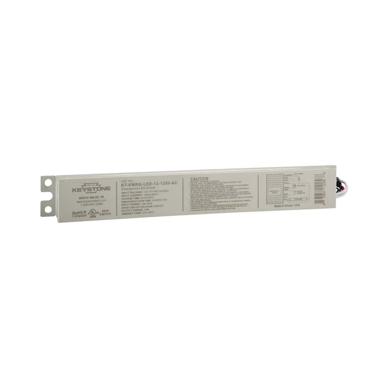 beeslighting12627524