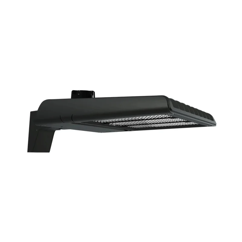 beeslighting12643545