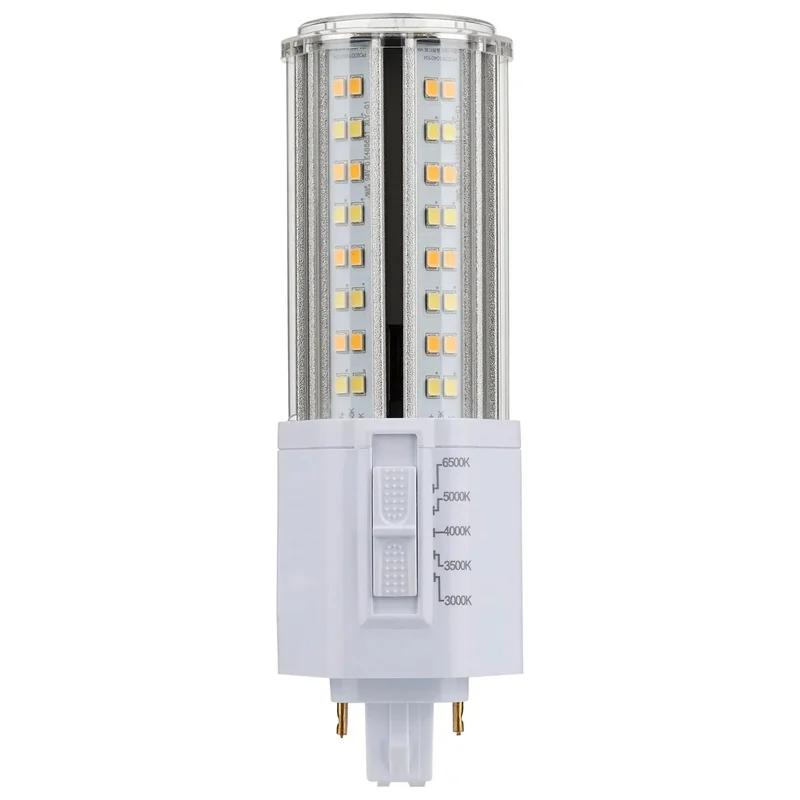 beeslighting12644009